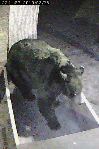 One-eyed Jack - March 28, 2010