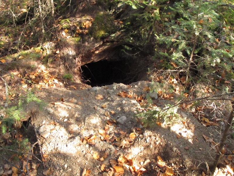 Jewel_den_-_20101006_low