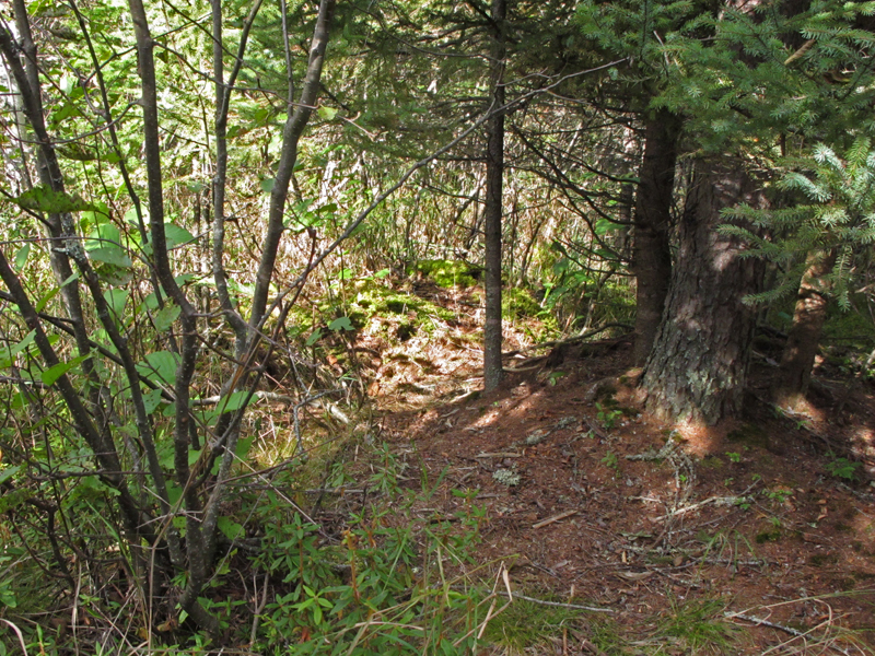 Jo bear's bed - September 16, 2010