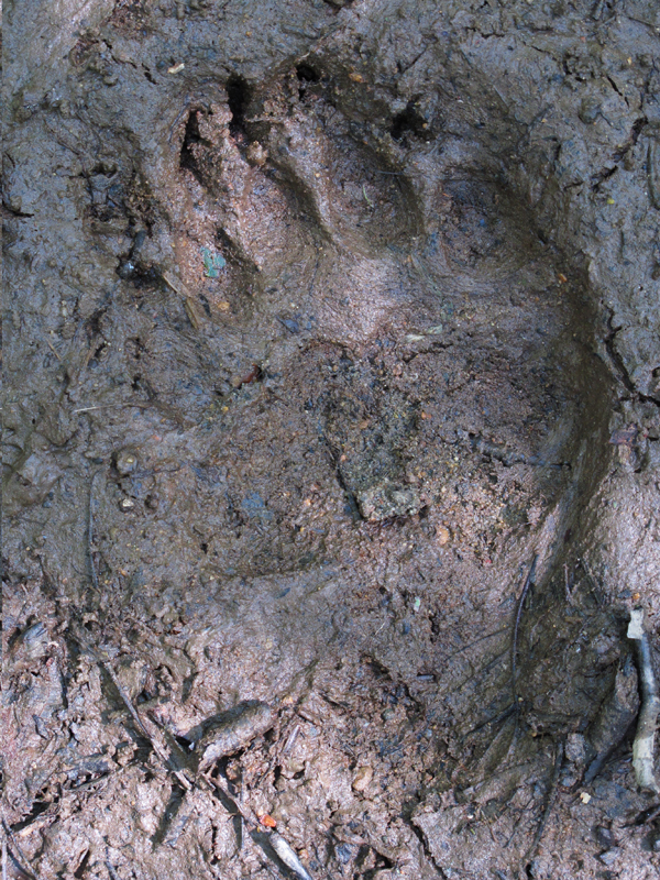 Jo's track - August 29, 2010