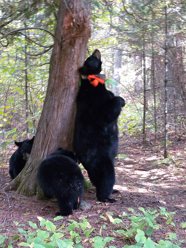 Juliet back-rubbing - September 13, 2010
