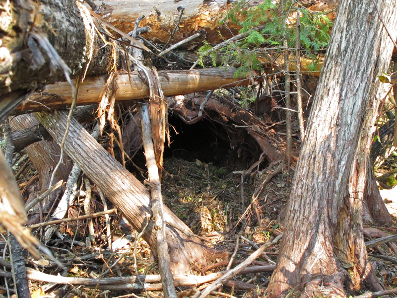 Juliet_den_-_20101005s