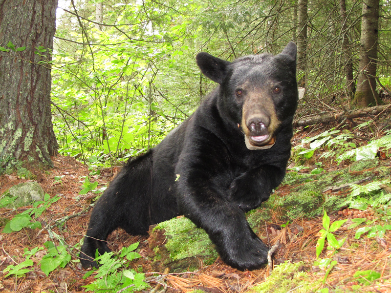 June - July 23, 2010