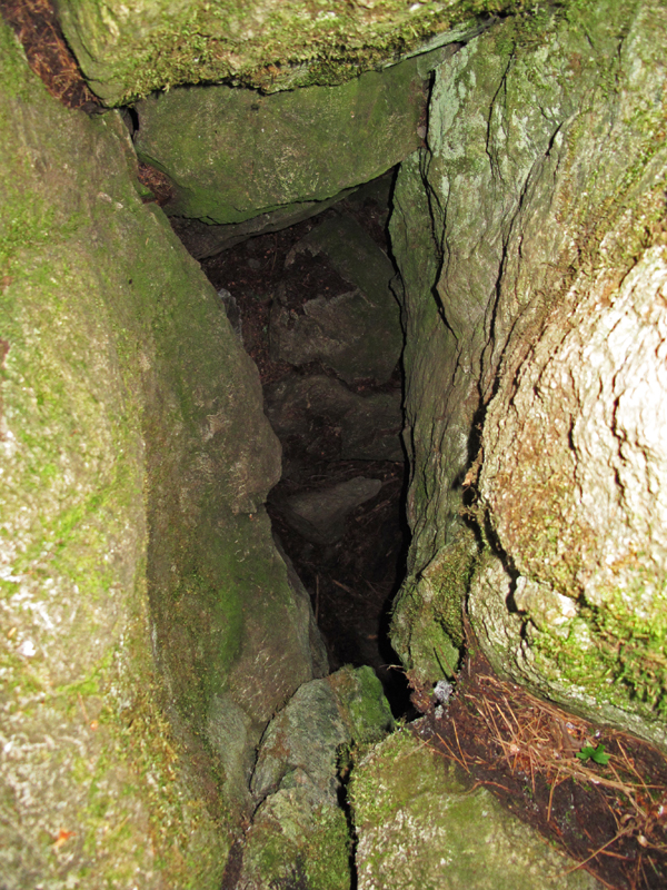 June's rock den - September 14, 2010