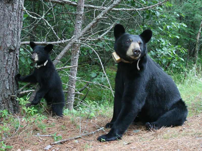 Lily & Hope - July 27, 2010