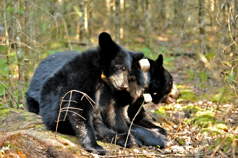 Lily & Hope - August 19, 2010