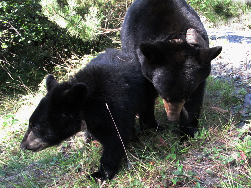 Lily & Hope - August 23, 2010