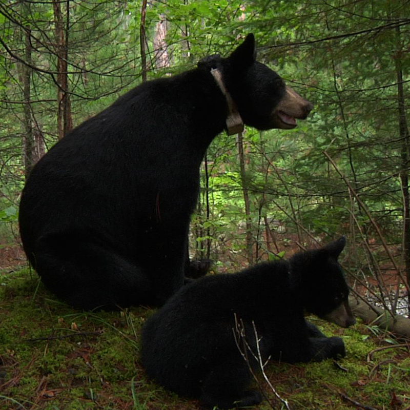 Lily & Hope - August 2, 2010
