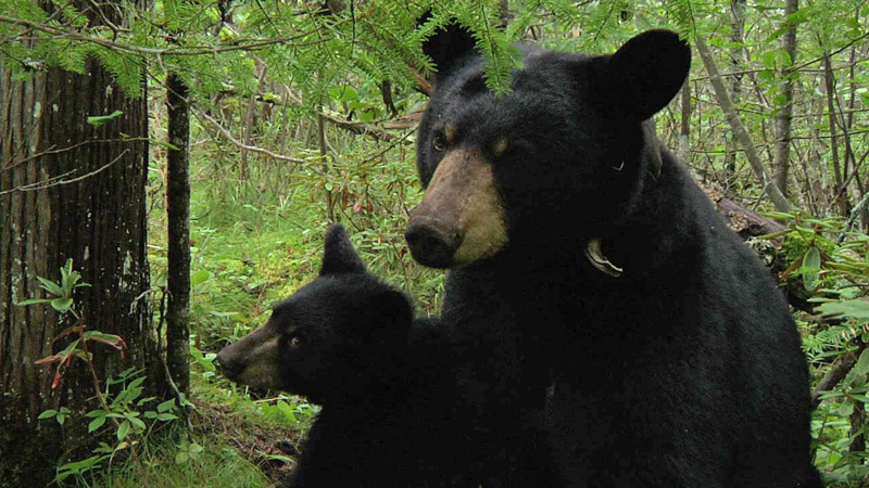 Lily & Hope - August 15, 2010
