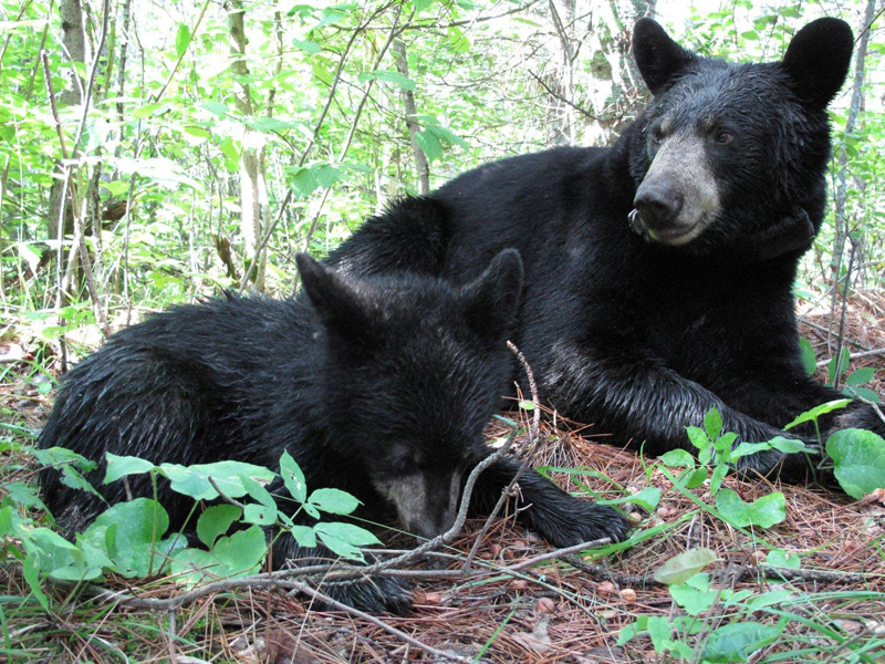 Lily & Hope - August 9, 2010