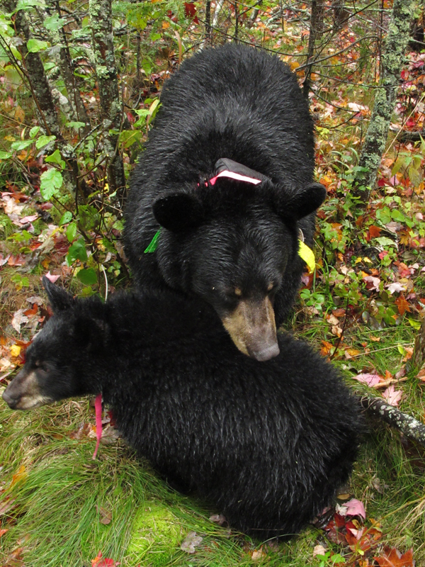 Lily & Hope - Sept 24, 2010