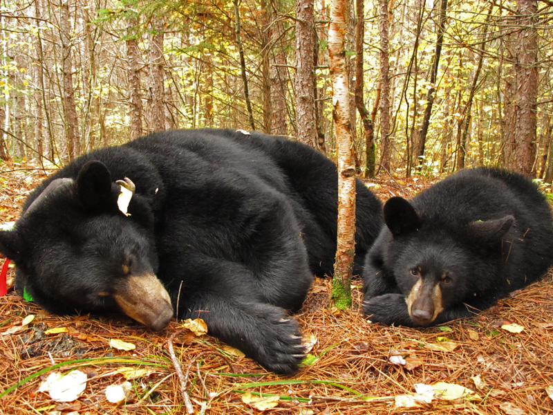 Lily & Hope - Sept 27, 2010