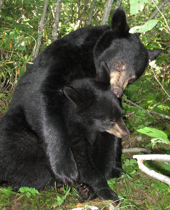 Lily & Hope - August 16, 2010