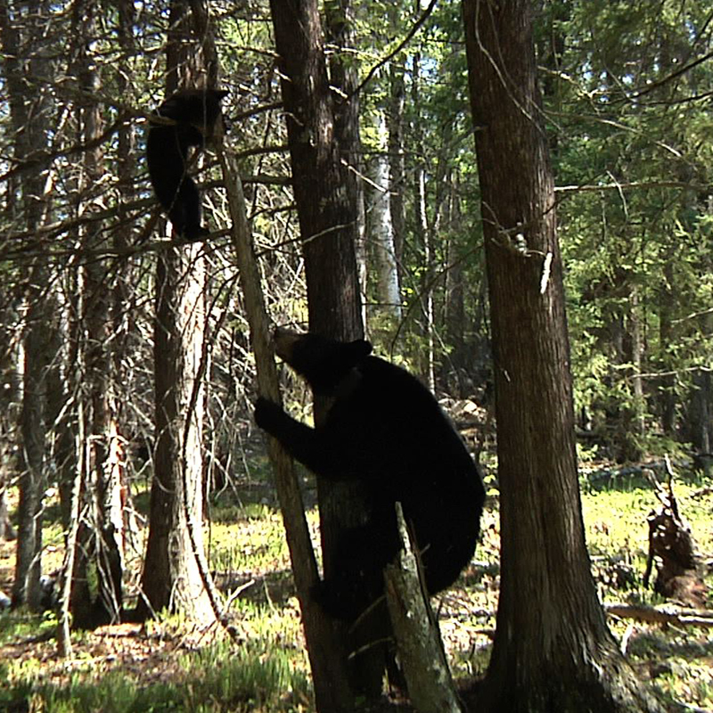 Lily & Hope May 18, 2010