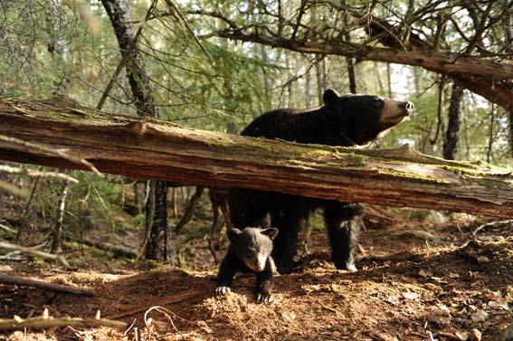 Lily and Hope - March 29, 2010