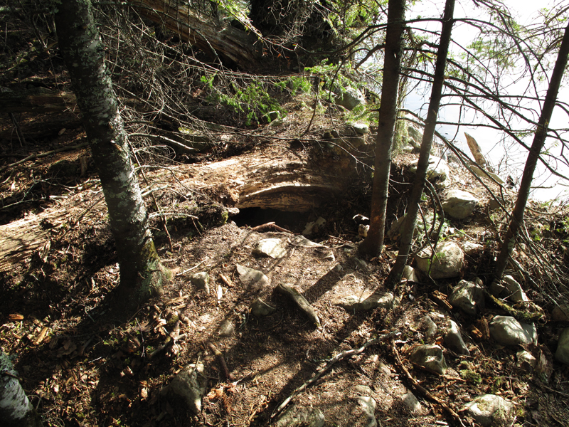 Lily's empty den - April 19, 2010