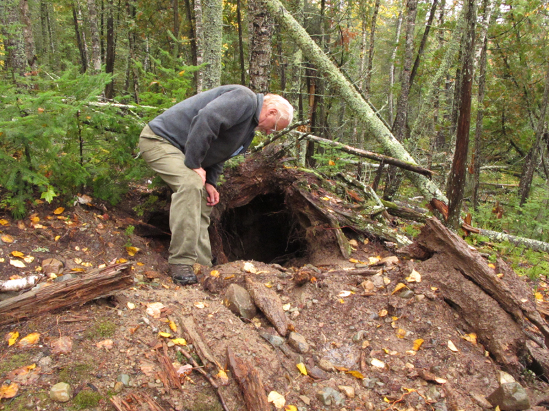 Lynn Rogers at Lily's den - Sept 24, 2010