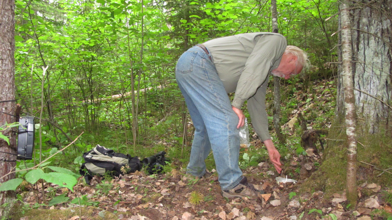 Lynn baiting the trail camera