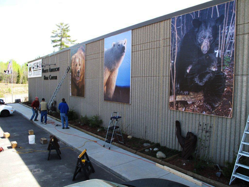 New pics for the Bear Center building!
