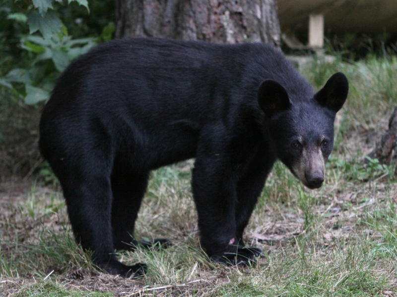 Sarah - early July 2010