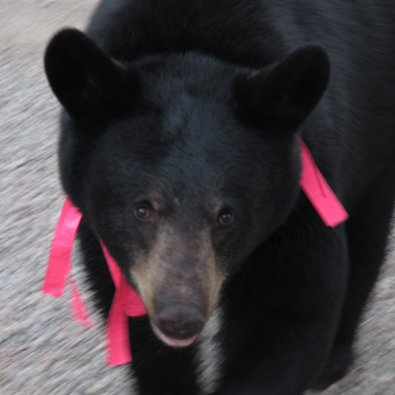 Sarah - August 26, 2010