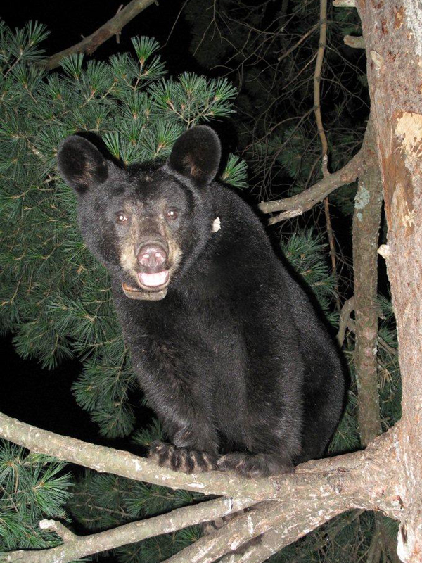 Sarah - August 9, 2010