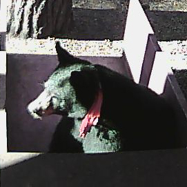 Sarah on scale - Sept 4, 2010