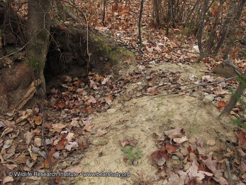 dug_den_side_view_-_20101024