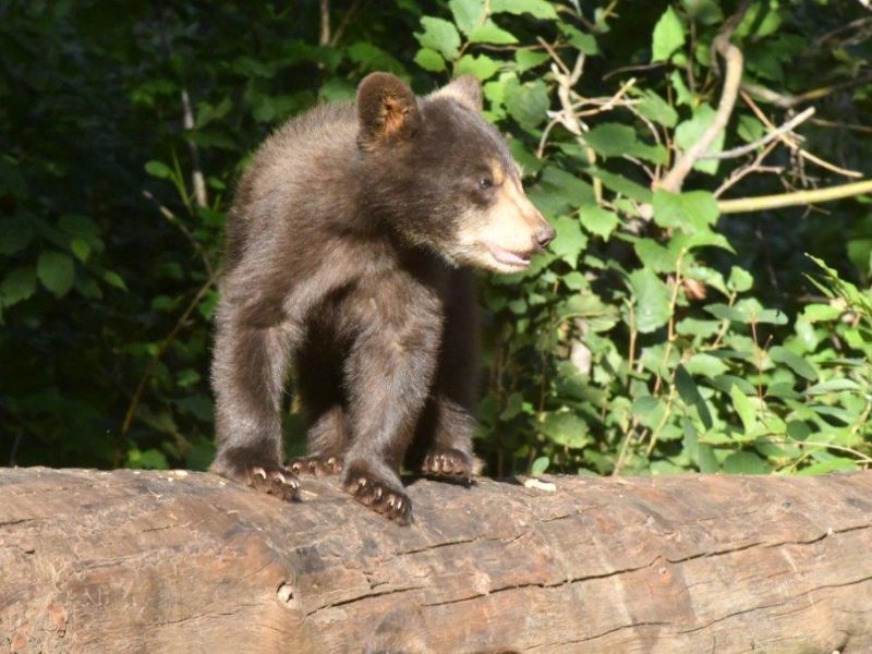 Ted’s Big Move and More - UPDATE August 20, 2020