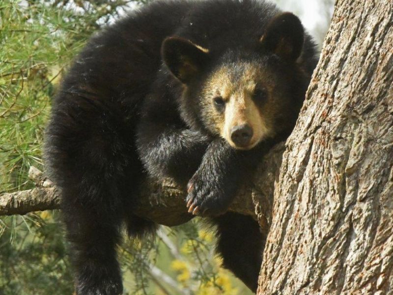 Mother and Daughter, a new sight, and Good News - UPDATE May 16, 2024