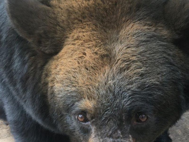 We Don’t Know of Anything Bad Yet - UPDATE September 1, 2020