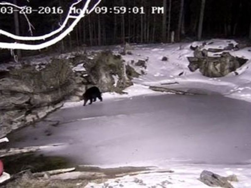 Holly Ventures Out for Fun - UPDATE March 29, 2016