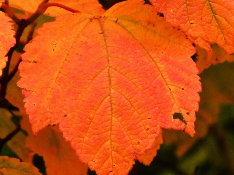 Another Nice Quiet Day, Plus Color - UPDATE September 15, 2020