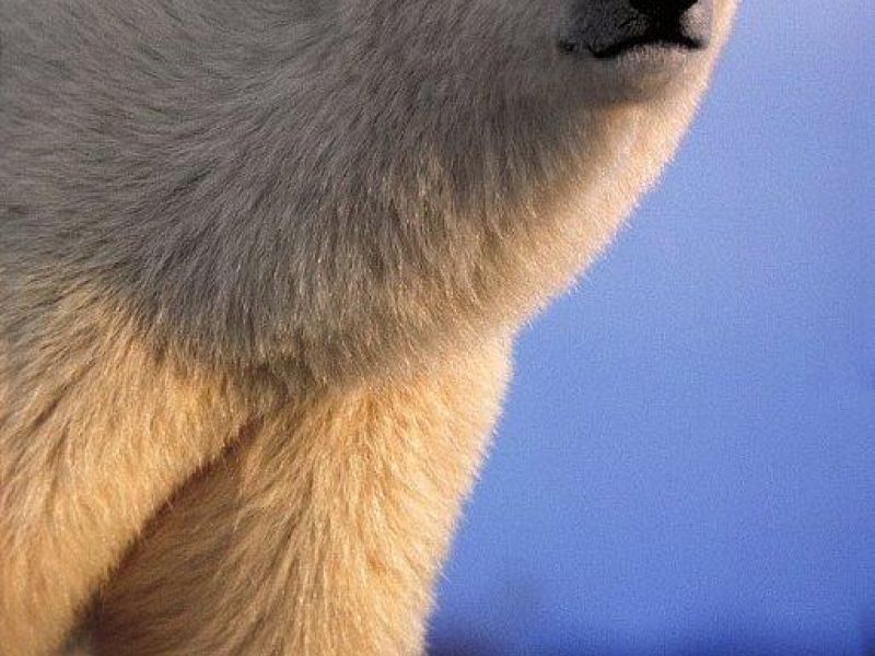 To a White and Merry Christmas - UPDATE December 25, 2020