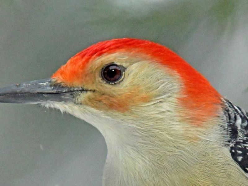 A Bit of Beauty and a Bit of Action - UPDATE January 12, 2023
