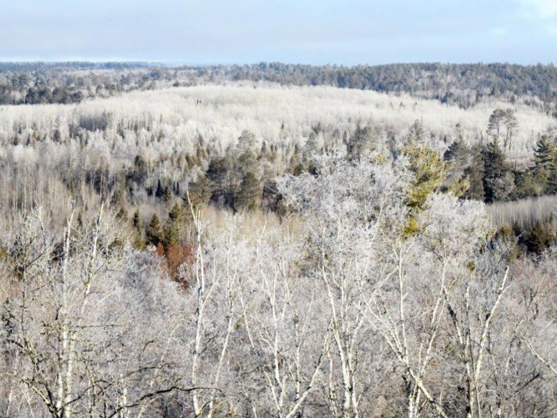 Dreaming of a White New Year - UPDATE December 29, 2023