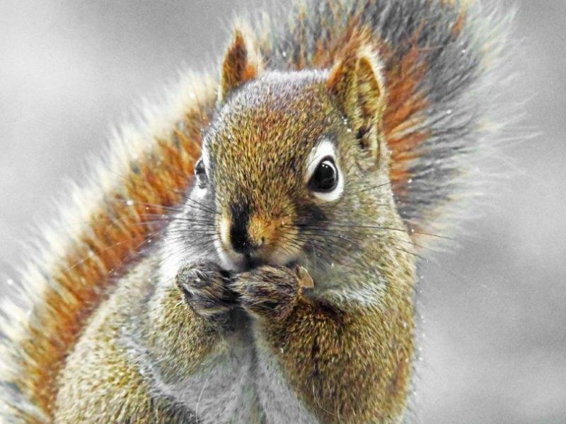 Merry Christmas to All - UPDATE December 24, 2024