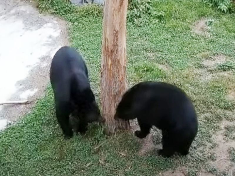 Ted, Lucky, and Holly - UPDATE September 12, 2020