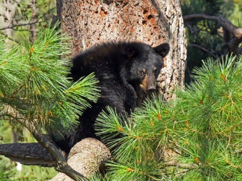 Another Quiet Day - UPDATE September 5, 2023