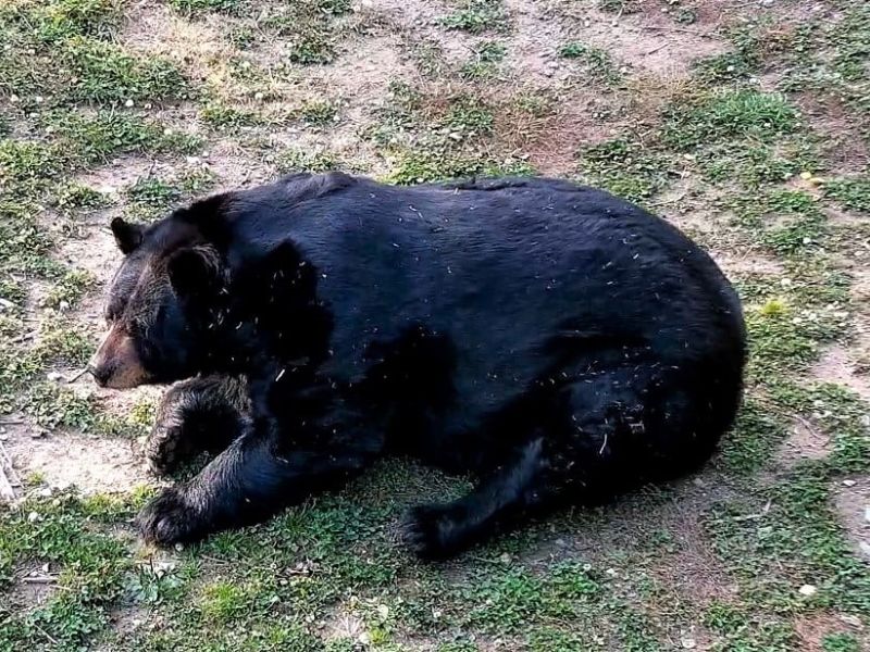 June Remembered, Ted Out and About - UPDATE October 9, 2020