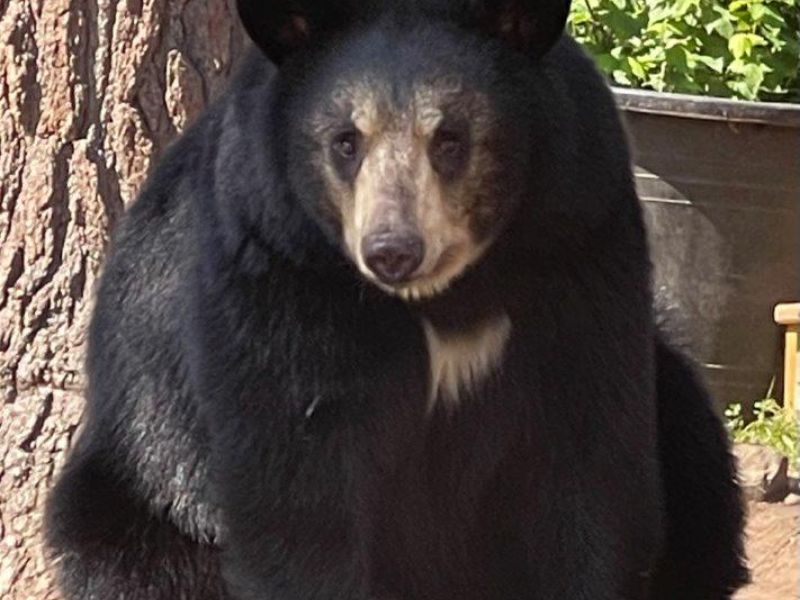 A Quiet Day - UPDATE September 2, 2024