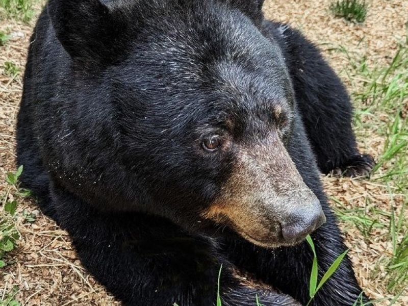 RC Was Seen. Alone? - UPDATE June 16, 2025