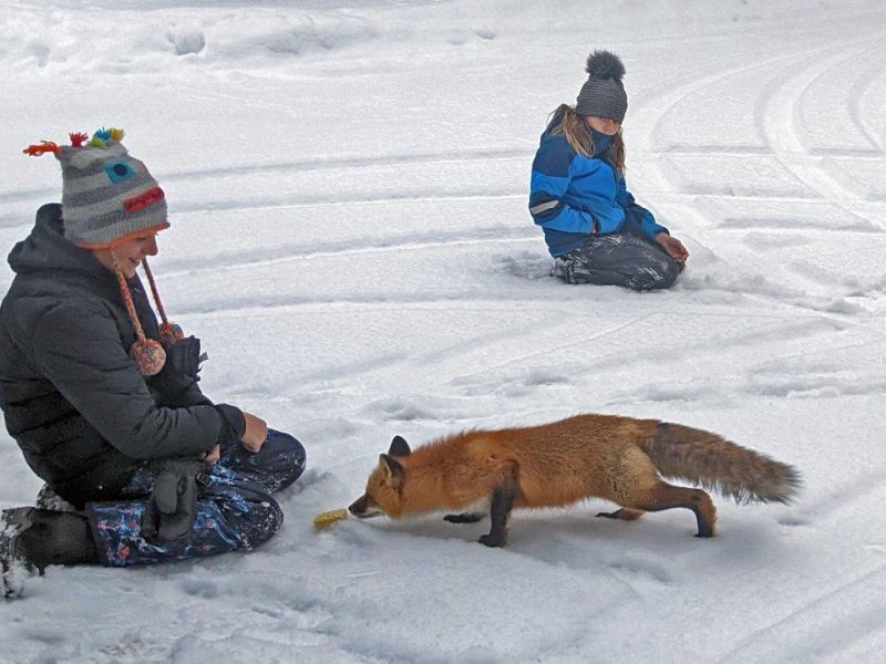 Fun with Fox and Family - UPDATE December 30, 2021