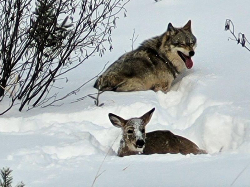 Hunting Season - UPDATE September 3, 2022