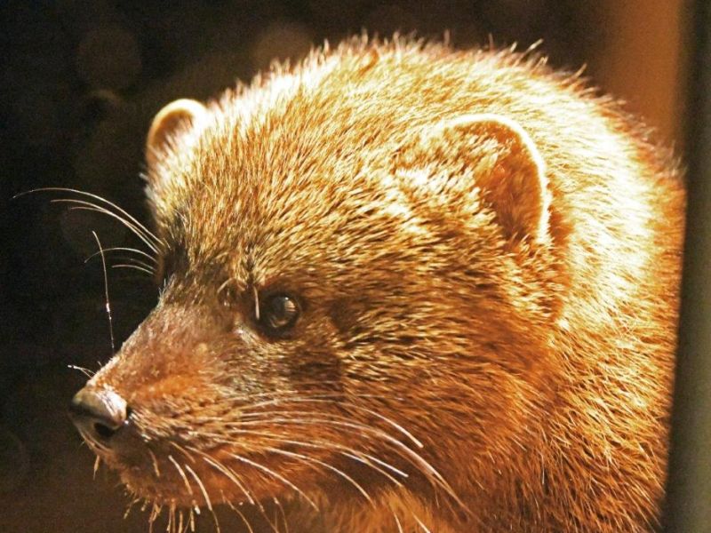 A Big Day - UPDATE March 20, 2025