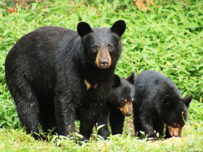 A Photo Celebration - UPDATE August 14, 2024