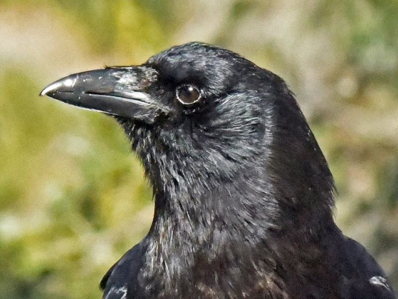 Spring Has Sprung - UPDATE March 22, 2026