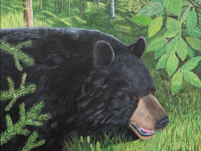 NABC Fundraiser and a Drawing for a Painting of Ted! - UPDATE January 14, 2022