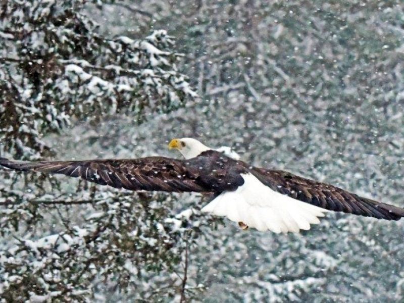 After the Big Snow - UPDATE December 16, 2024