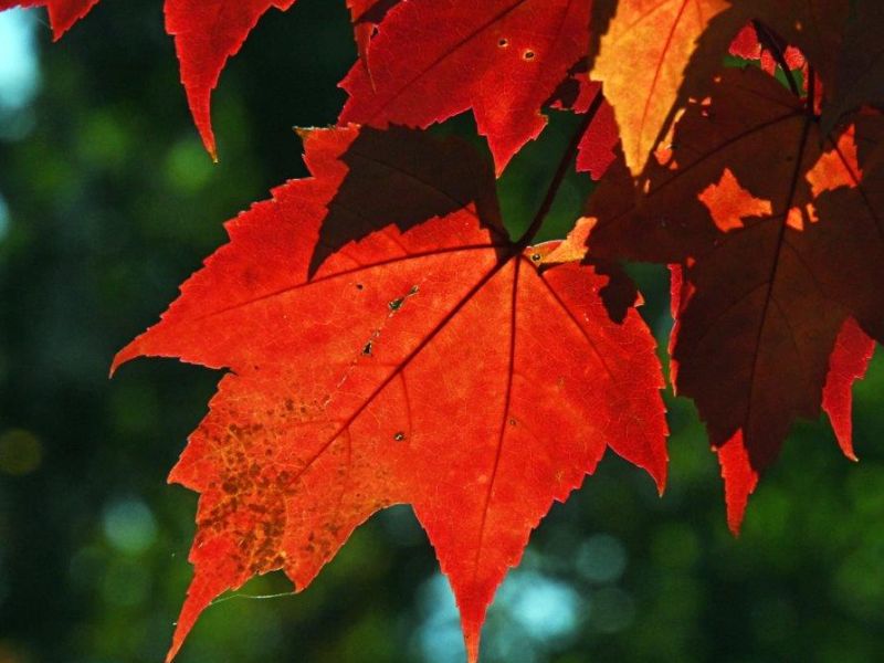 A Sunny Work Day - UPDATE September 19, 2021